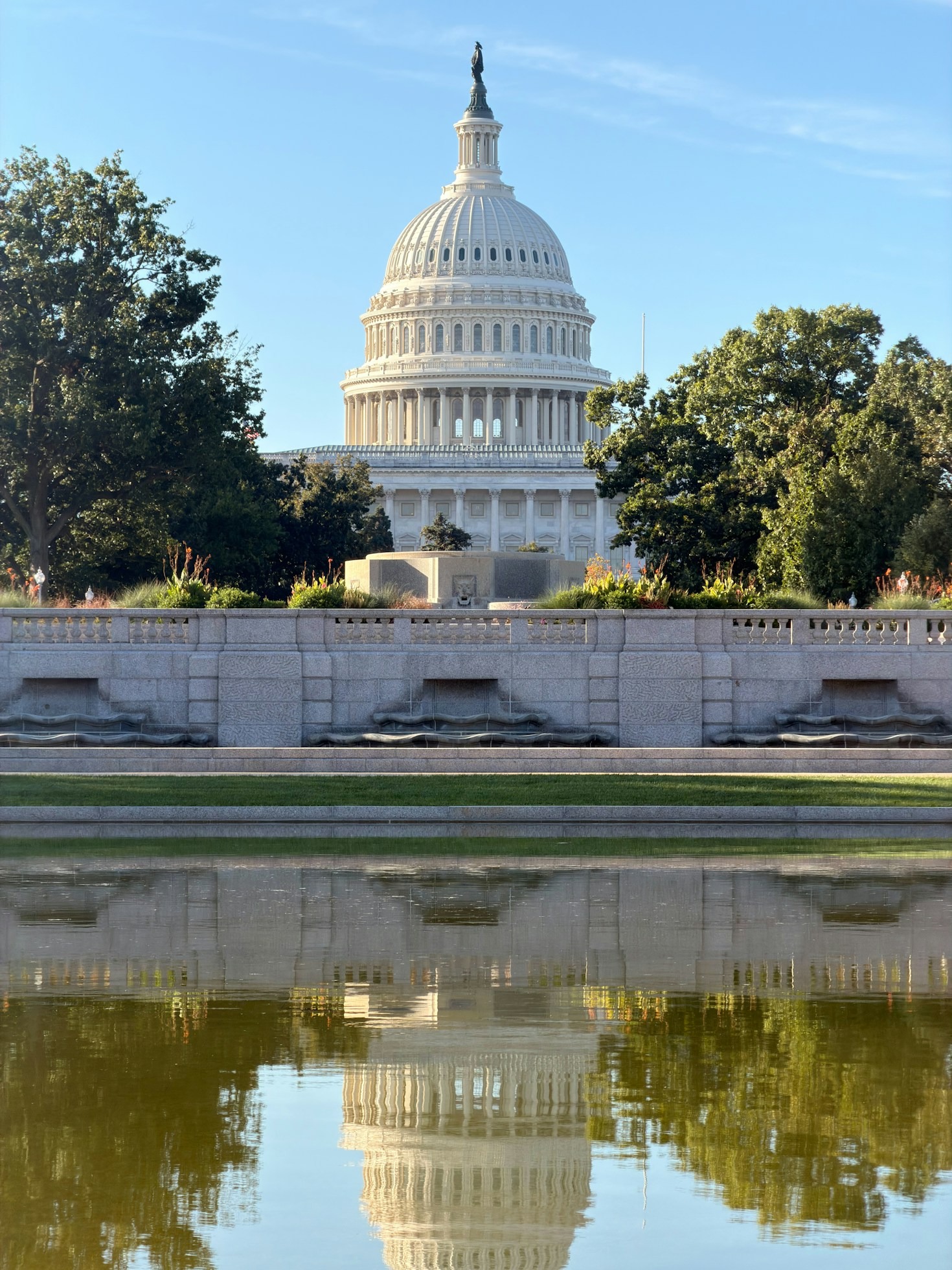 The Impact of Legal Dramas on the Law Community